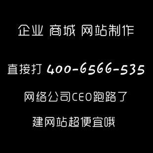 企业 商城 网站建设 设计制作 定制 350